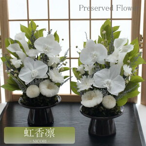 y΁z vU[uht[    l\ d ͂Ȃ     ~ V~ ~ ފ ybguU[ht[  ݂