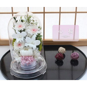 yz vU[uht[    ފ d ͂Ȃ     ~ V~ ~ ފ ybguU[ht[ ԃh[ 