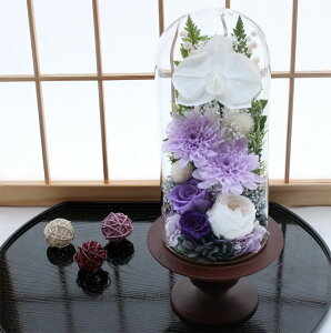 yz vU[uht[    ފ d ͂Ȃ     ~ V~ ~ ފ ybguU[ht[