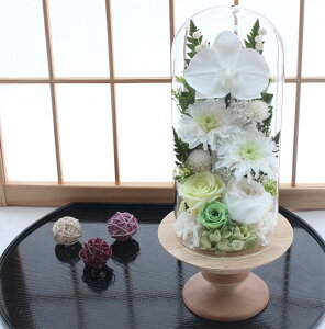 yz vU[uht[    ފ d ͂Ȃ     ~ V~ ~ ފ ybguU[ht[