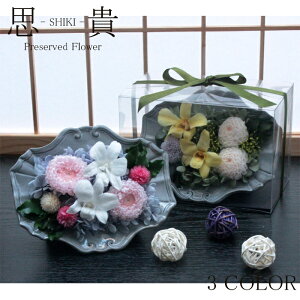 yz vU[uht[    ފ d ͂Ȃ     ~ V~ ~ ފ ybguU[ht[ 