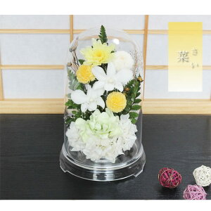 yz vU[uht[    ފ d ͂Ȃ     ~ V~ ~ ފ ybguU[ht[ ԃh[ ͂Â