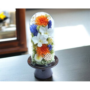 y10OFFN[|zzz vU[uht[    ފ d ͂Ȃ     ~ V~ ~ ފ ybguU[ht[ ԃh[ 