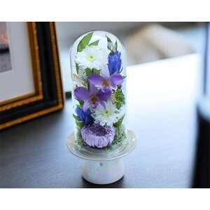 y10OFFN[|zzz vU[uht[    ފ d ͂Ȃ     ~ V~ ~ ފ ybguU[ht[ ԃh[ 