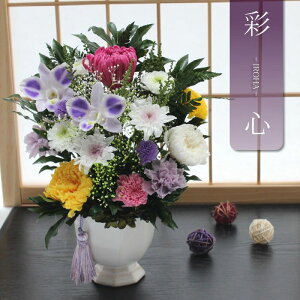yz vU[uht[    ފ d ͂Ȃ     ~ V~ ~ ފ ybguU[ht[  
