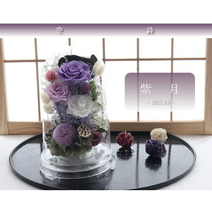  vU[uht[    ފ d ͂Ȃ     ~ V~ ~ ފ ybguU[ht[ 