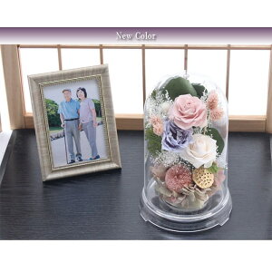  vU[uht[    ފ d ͂Ȃ     ~ V~ ~ ފ ybguU[ht[ 