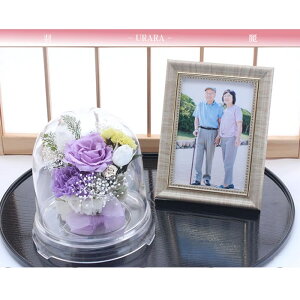  vU[uht[    ފ d ͂Ȃ     ~ V~ ~ ފ ybguU[ht[ ԃh[ 