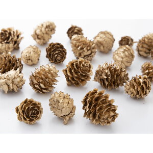 �y�h���C�z��n�_�� �J�����i���Y�j1�� ��40�� ��1.5-3cm �S�[���h 24121-021
