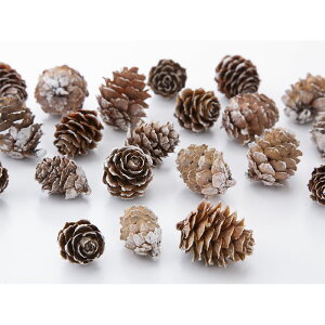 �y�h���C�z��n�_�� �J���� 1�� ��40�� ��1.5-3cm �X�m�[ 24121-982