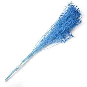 �y�v���U�z�t���[���G�o�[/�u���[��/1��/��20g/�u���[/FL833-870