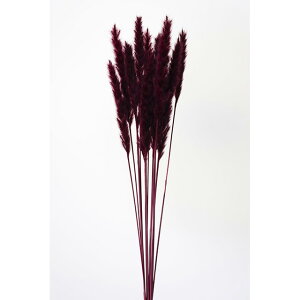 yhCzn_/e[[hE~j/1/12{/Cbh/51345-470