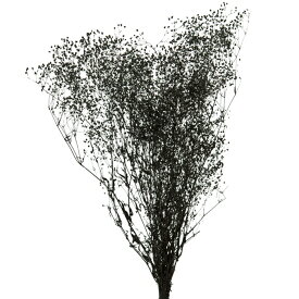 楽天市場 黒 花 観葉植物 花 ガーデン Diy の通販