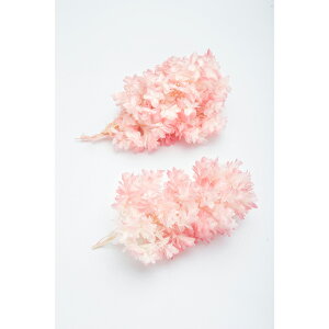 yvU[uht[zn_/JVoAWTC/Of[VH/2/zCgsN/01075-103