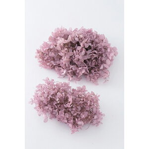 yvU[uht[zn_/\tgs~bhAWTCEwbh/2/~XeB[sN/01510-161