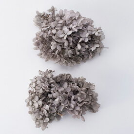 楽天市場 パールグレーの通販