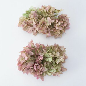 yvU[uht[zn_/\tgs~bhAWTCEwbh(O[f[VH)/2/IKmsN/01515-171