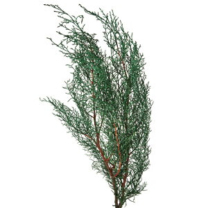 �y�A�t�^�[�Z�[���J�Ò��z�y�v���U�[�u�h�z��n�_��/�u���[�A�C�X/1��/��70g/�O���[��/01260-700