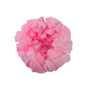 �y�v���U�z�t���[���G�o�[/�֋e/1��/6��/�x�C�r�[�s���N/FL451-07