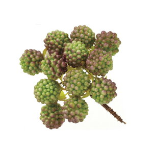 �y�A�[�e�B�t�B�V�����x���[�z���Y�x���[�E17mm/1��/12�{/�O���[��/23400-700