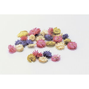 �y�h���C�z��n�_��/�`�[�[���t�����[/15g/�s���N�~�b�N�X/33000-110
