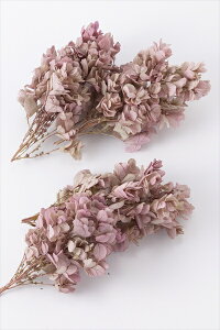 yvU[uht[zn_/JVoAWTC/Of[VH/2/IKmsN/01075-171