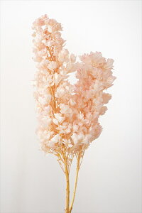 yvU[uht[zn_/JVoAWTCEXet/1/zCgsN/01076-103