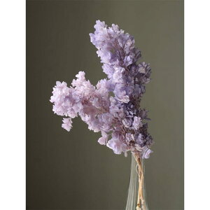 yvU[uht[zn_/JVoAWTCEXet/1/sNp[v/01076-142