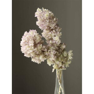 yvU[uht[zn_/JVoAWTCEXet/1/O[p[v/01076-742