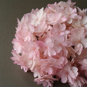 yvU[uht[zn_/ЂȃAWTCEwbh/1֕/sNx[/01102-120