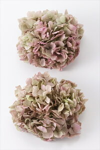 yvU[uht[zn_/\tgCAWTC/Of[VH/2/IKmsN/01480-171