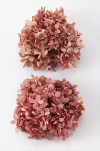 yvU[uht[zn_/\tgs~bhAWTCEwbh/2/i`sN/01510-100