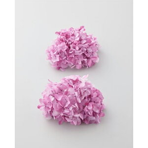 yvU[uht[zn_/߃AWTCEtAEwbh/2/sN/01904-101