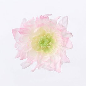 【プリザーブドフラワー】大地農園 ことね菊・ほのか 6輪 ピンク 04790-173