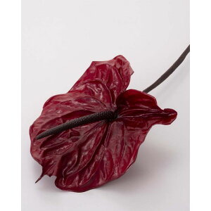 yvUzn_/AX[X/1/3{/Cbh/05410-471