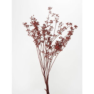 �y�v���U�z��n�_��/���[�J���E�G�L�]�`�J/1��/��45g/���b�h/40170-300