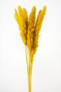 yhCzn_/e[[h/1/10{/}X^[h/51340-581