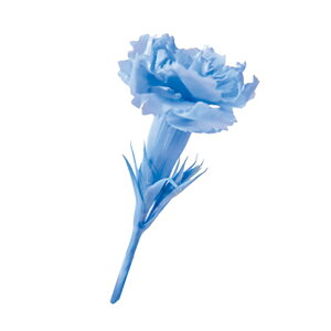 yvU[uhzt[Go[/}CNJ[l[V/20/pE_[u[/FL1400-13