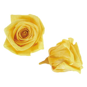 �y�v���U�z�t���[���G�o�[/�x�C�r�[���[�Y/1��/12��/�C�G���[/FL050-02