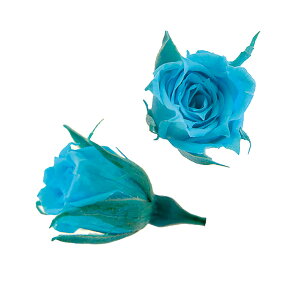 yvUzt[Go[/}CN[Y/1/20/JrAu[/FL060-72