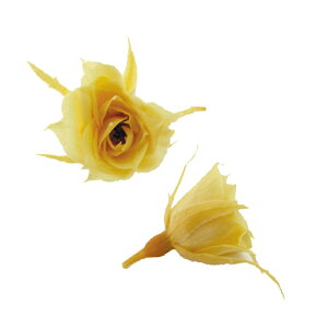 �y�v���U�z�t���[���G�o�[/�}�C�N�����[�Y/1��/20��/�C�G���[/FL060-02
