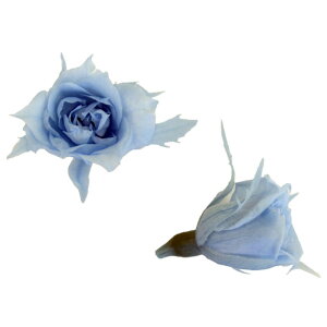 yvUzt[Go[/}CN[Y/1/20/pE_[u[/FL060-13