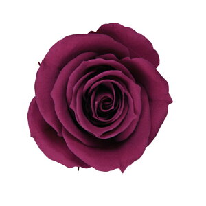 yvUzt[Go[/Xv[[Y/1/8/Ch`F[/FL070-74