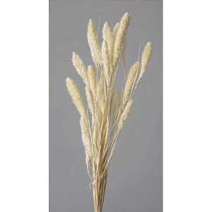 �y�v���U�z��n�_��/�Z�^���A/1��/��40g/�I�t�z���C�g/14500-011