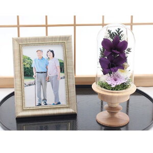 yz vU[uht[    ފ d ͂Ȃ     ~ V~ ~ ފ ybguU[ht[ ԃh[ ̂