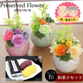 楽天市場 敬老の日 ギフト プリザーブドフラワー 花 観葉植物 花 ガーデン Diyの通販