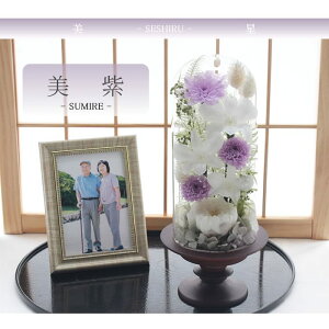 yz vU[uht[    ފ d ͂Ȃ     ~ V~ ~ ފ ybguU[ht[ ZV