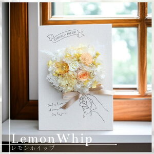 vU[uht[vU[uht[ LoXAW ̓  j ސEj ʉ Vzj JXj a CeA j i`