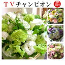 お盆 花　お供え 花 お悔やみ ペット 枕花 命日 四十九日 法事 法要 仏事 弔事 洋花 仏花 命日 生花 お盆 新盆 お彼岸 アレンジメントフラワー 花束 送料無料 月間優良ショップ【今旬お供えフラワーアレンジメント4,000円】