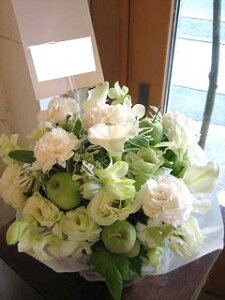 yisorajIWiAWg yTnza ԁ@t[AWg@av[g@JXj@JƏj@ yԁ@ړ]j@j@LO 